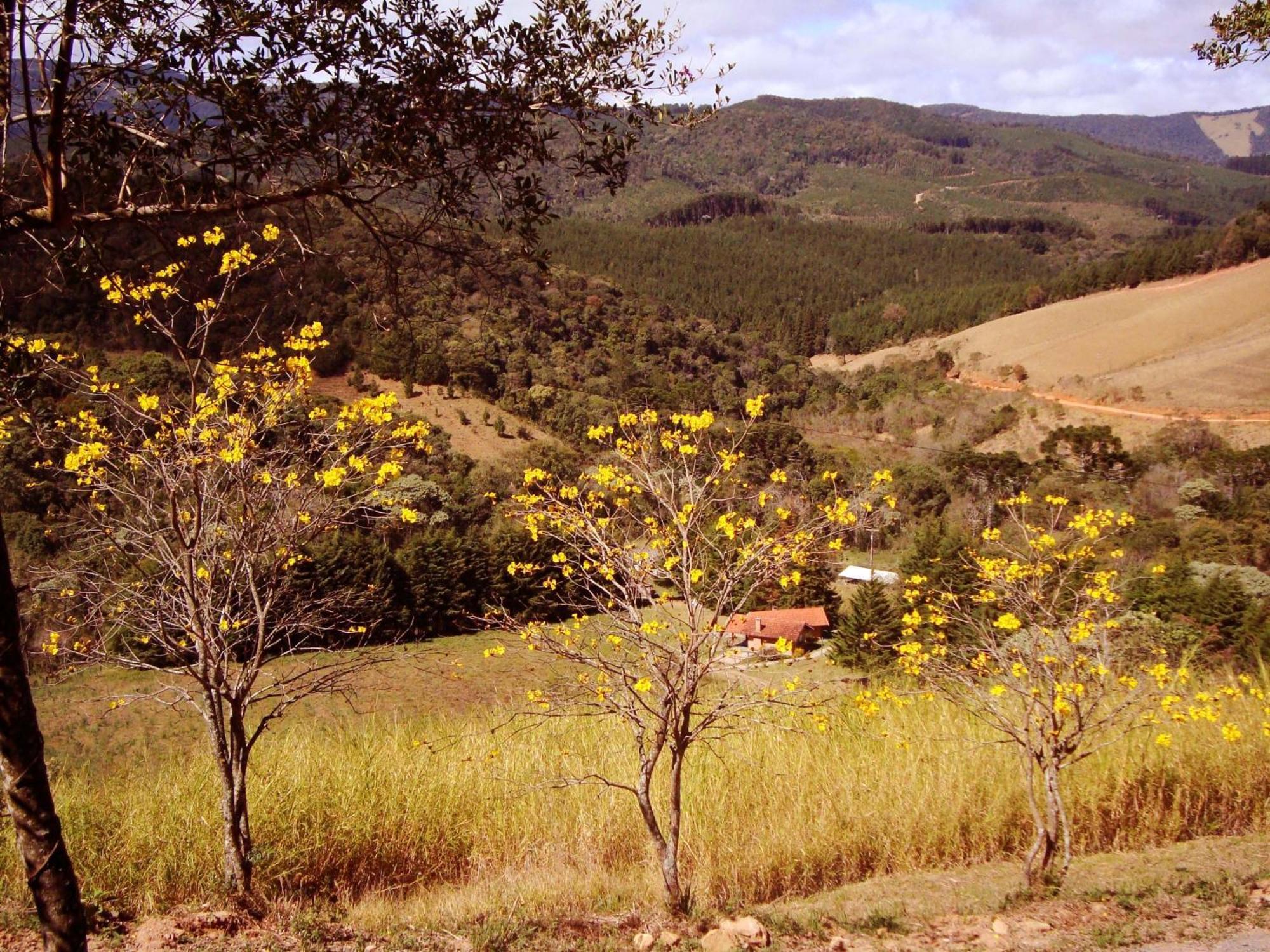 Chales Estrada De Chao Monte Verde  Exteriér fotografie